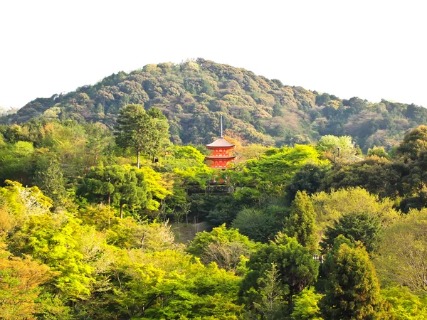 Kiyomizu-dera-Tempel in Kyoto in Japan — Stockfoto