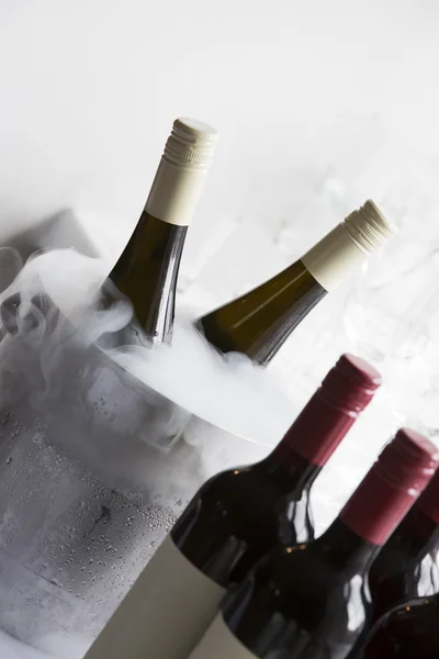 Bucket with liquid nitrogen and wine bottles — Stock Photo, Image