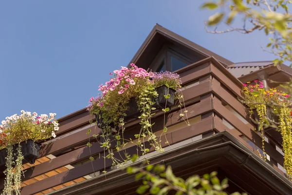 Färgglada blomlådor på balkong räls — Stockfoto