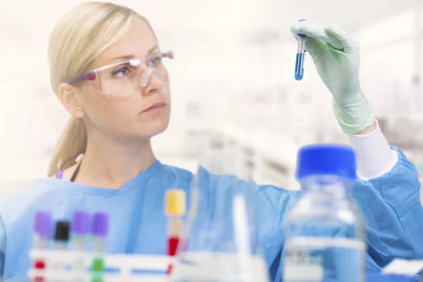 Científico que trabaja con muestras de análisis en un laboratorio. enfoque o —  Fotos de Stock