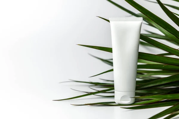 Body Skin Cream Tube Palm Bladeren Witte Achtergrond Met Kopieerruimte — Stockfoto