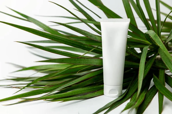 Blanco Body Cream Tube Natte Groene Plant Bladeren Witte Achtergrond — Stockfoto