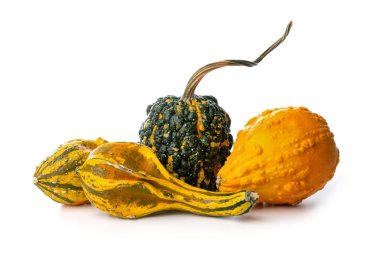 Beyaz arkaplanda izole edilmiş dekoratif balkabağı grubu