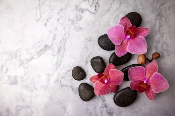 Pedras Spa Flores Orquídea Rosa Fundo Mármore Branco Espaço Cópia — Fotografia de Stock