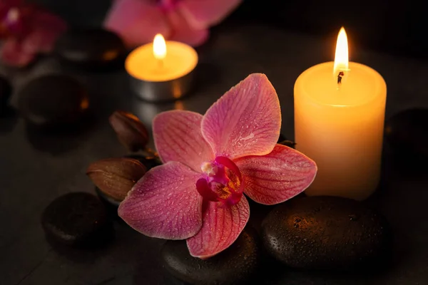 Flor Orquídea Com Pedras Spa Velas Conceito Tratamento Beleza — Fotografia de Stock