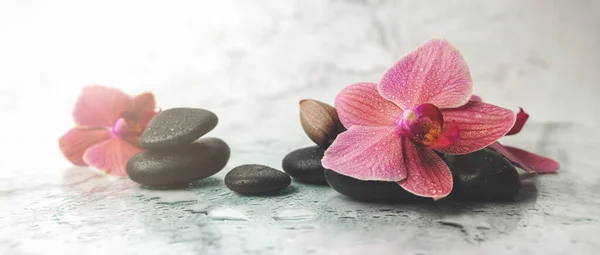 Alternativní Terapie Orchidej Květiny Černými Kameny Mramoru Pozadí Nápis — Stock fotografie