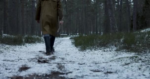 Asesino Serie Con Capucha Marrón Caminando Con Hacha Bosque Invierno — Vídeo de stock