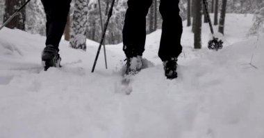 Taze karda kayak turu. Karlı kış ormanlarında kayak yapan insanlara yakın.