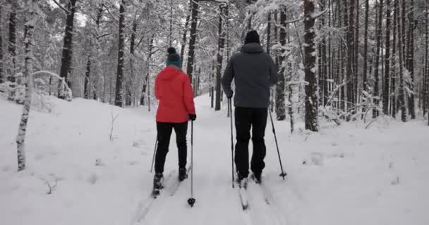 新鮮な雪の中でスキーツアー 雪の冬の森の若いカップルスキー — ストック動画