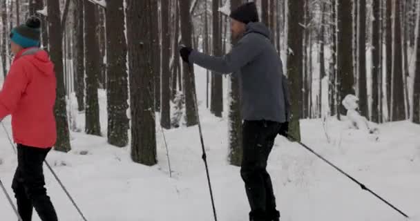 Karlı Kış Ormanlarında Kayak Yapan Genç Bir Çift — Stok video