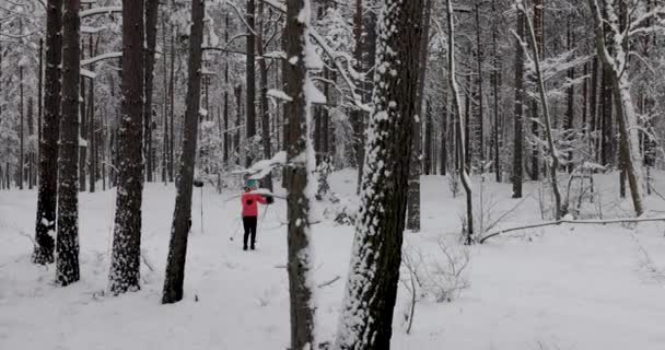 Passeio Esqui Neve Fresca Profunda Esqui Par Jovem Floresta Inverno — Vídeo de Stock