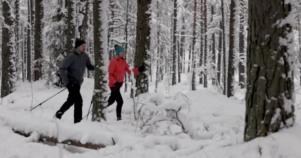 Passeio Esqui Neve Fresca Profunda Esqui Par Jovem Floresta Inverno — Vídeo de Stock