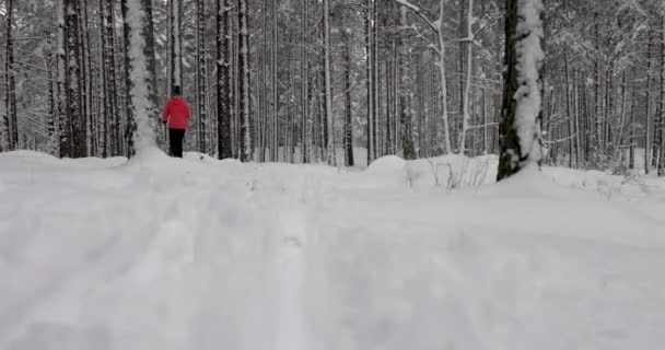 Passeio Esqui Neve Fresca Profunda Esqui Par Jovem Floresta Inverno — Vídeo de Stock