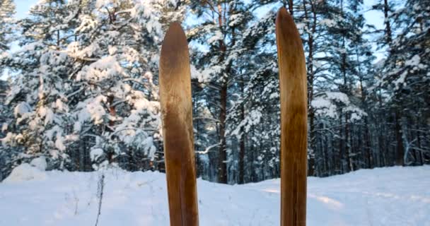 Stare Drewniane Narty Biegowe Biegunami Narciarskimi Stojącymi Śniegu Śnieżnym Lesie — Wideo stockowe