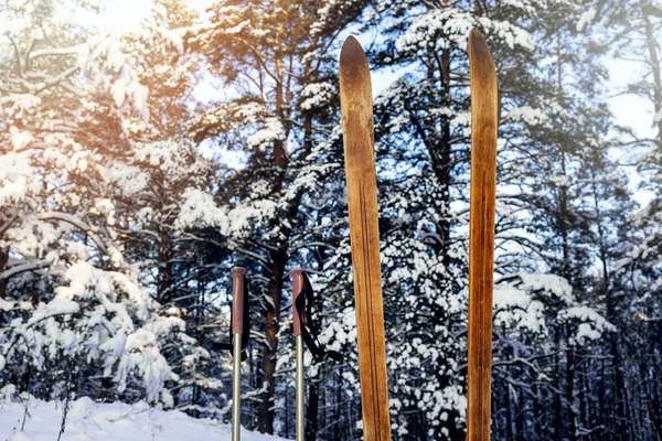 冬の晴れた日に雪の森の中にスキーポールが立っている古い木製のバックカントリースキー スキーツアー — ストック写真