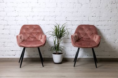 İki adet kaplama pembe sandalye ve beyaz tuğla duvarlı palmiye bitkisi. minimalizm iç mimarisi