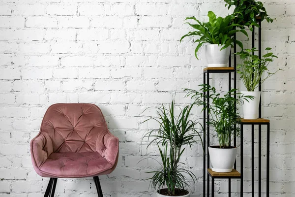 Nowoczesne Minimalistyczne Wnętrze Różowym Krzesłem Stojakiem Zielonymi Roślinami Białym Ceglanym — Zdjęcie stockowe