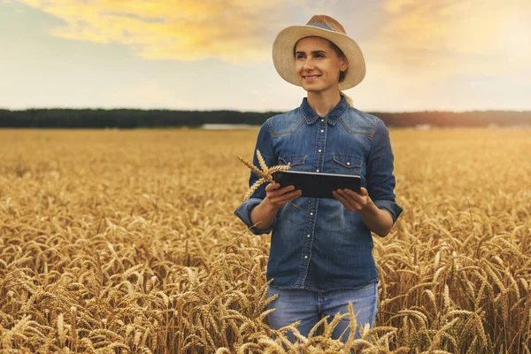 賢く近代的な農業です 農場経営 農業事業です デジタルタブレットを手に穀物畑に立つ若い女性は — ストック写真