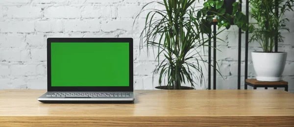 Laptop Com Tela Branco Mesa Escritório Moderno Com Plantas Verdes — Fotografia de Stock