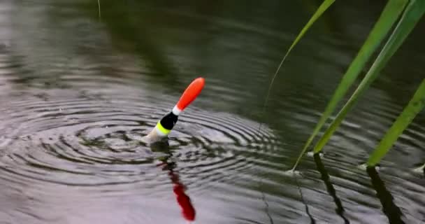 Angelbobber Schwimmer Werfen Wasser Mit Spritzwasser Zeitlupe — Stockvideo