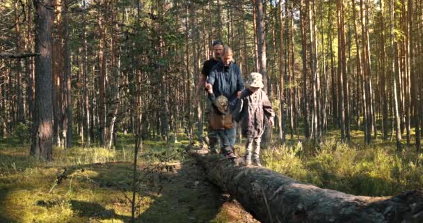 Família Com Crianças Andando Árvore Caída Floresta — Vídeo de Stock