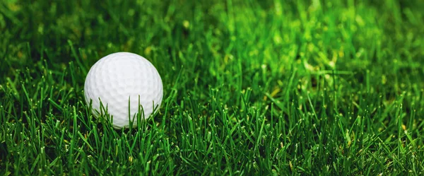 Golfpallo Vihreällä Ruoholla Bannerin Kopiotila — kuvapankkivalokuva
