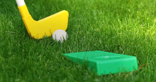 Zabawki Mini Golf Uderzenie Piłkę Otworu Plastikowym Putter Zielonej Trawie — Wideo stockowe
