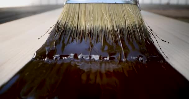 Applying Brown Wood Protective Paint Paintbrush Wooden Plank Brush Stroke — Stock Video