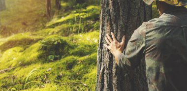 Orman bekçisi çam ağacının gövdesini kontrol ediyor. Yenilenebilir kaynaklar ve sürdürülebilir kalkınma kavramı. Boşluğu kopyala