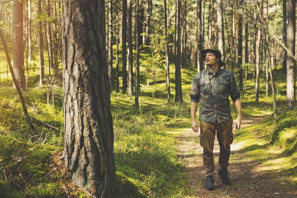 Forest Ranger Forester Walk — Stock Photo, Image