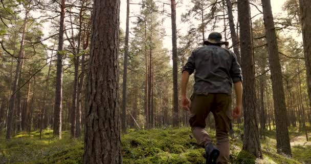 Sviluppo Forestale Silvicoltura Sostenibile Ranger Che Controlla Ecosistema Boschivo — Video Stock