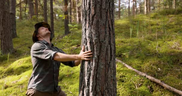 Forester Checking Pine Tree Trunk Quality Renewable Resources Sustainable Forest — Stock Video