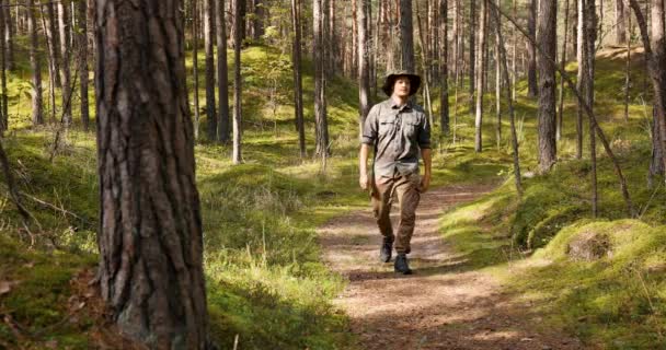 Park Ranger Forester Forest Walk — Stock Video