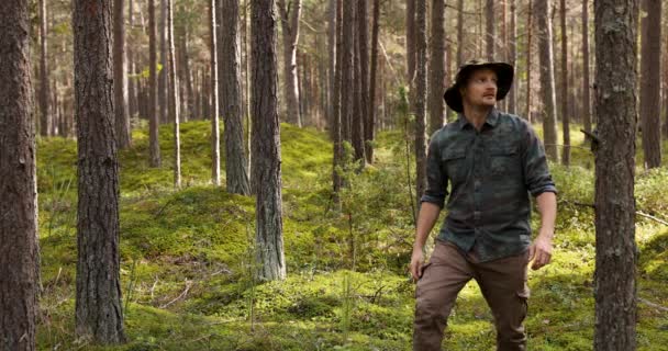 Forestry Forester Doing Forest Survey Management Sustainable Development — Stock Video