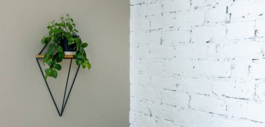 Ev dekorasyonu, duvarda asılı modern saksı tutacağı. Boşluğu kopyala