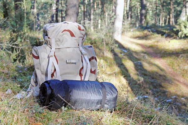 Hiking - backpack with camping equipment in woods — Stock Photo, Image