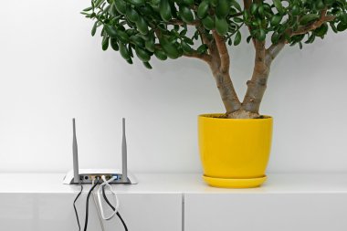Internet yönlendiricisi ve çiçek ot parlak iç beyaz raf