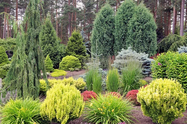 Diseño jardín paisaje con mezcla de plantas —  Fotos de Stock