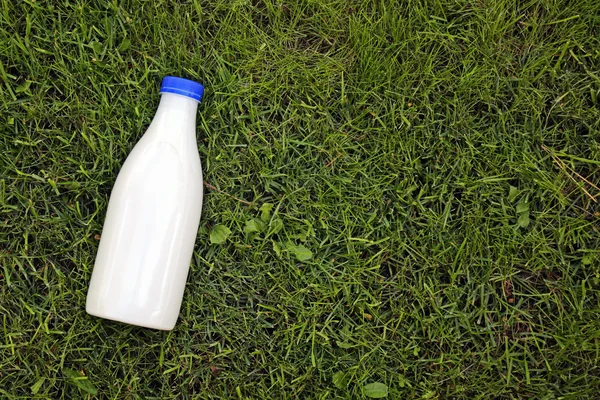 Vista superior da garrafa de leite na grama com espaço de cópia — Fotografia de Stock