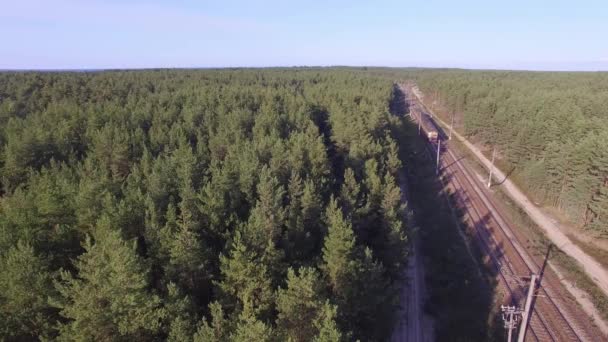 Tren tren ormanın içinde üzerinde hava görünümünü. Riga, Letonya — Stok video