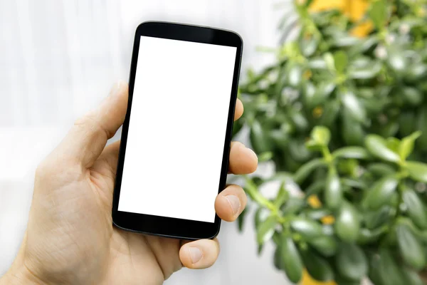 Рука тримає телефон з порожнім білим екраном в кімнаті — стокове фото