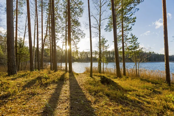 Zonsondergang over lake in het bos — Stockfoto