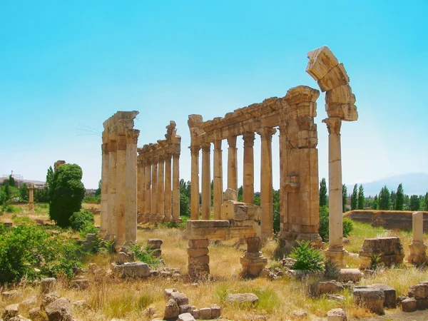 Lübnan'daki eski, antik bir tapınak sütunlar. Baalaek — Stok fotoğraf