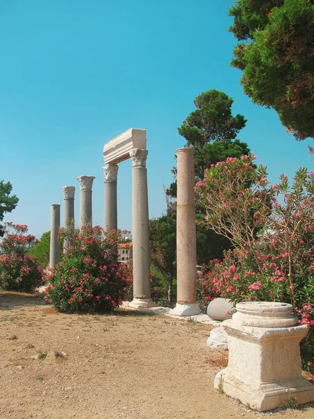 Columnas del antiguo templo en Líbano Imagen de archivo