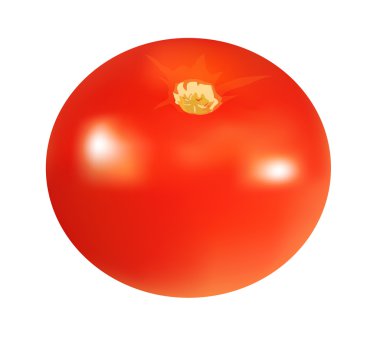 Domates, izole üzerinde beyaz, vektör