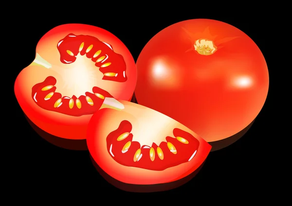 Sada rajčat, izolované na černém pozadí — Stockový vektor