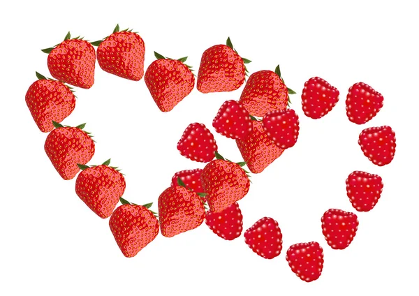 Strawberry and raspberry hearts on white background — Stock Vector