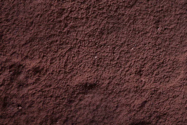 Vista superior de Tiramisu com cacau em pó — Fotografia de Stock