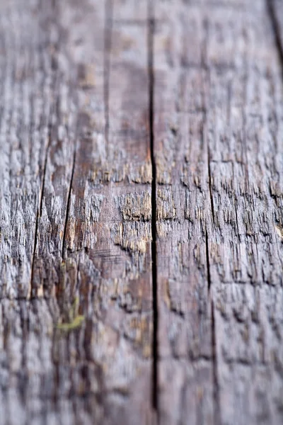Textura de fundo de madeira com foco suave — Fotografia de Stock