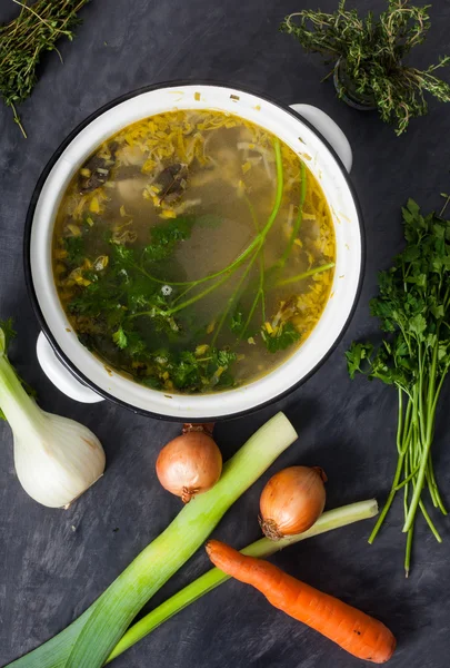 Gran olla de caldo de verduras — Foto de Stock